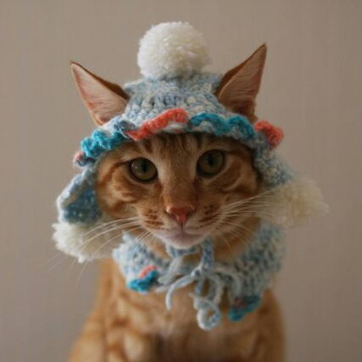 1a3d2332 ed6e 4cca ab5b 202b27abedd5