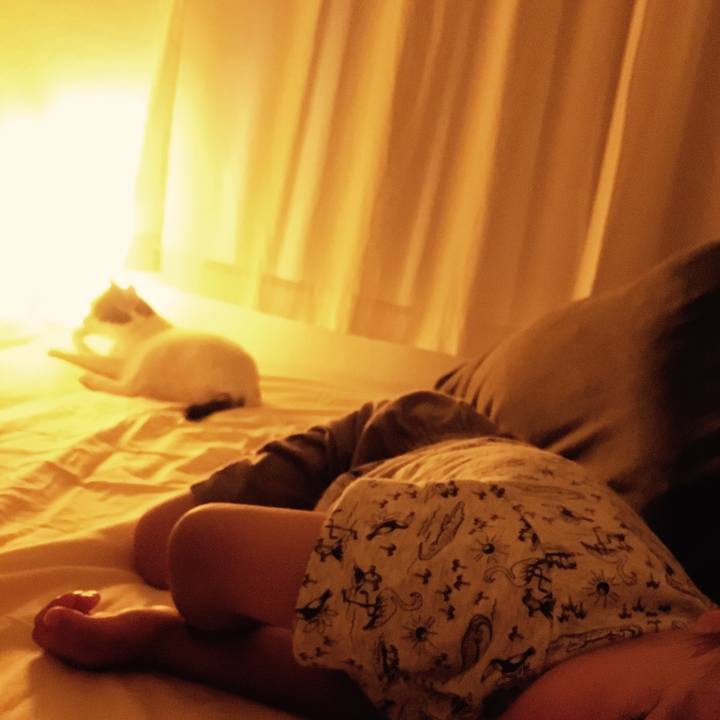 1a3d50d8 ec01 423d ac13 99548df1724e