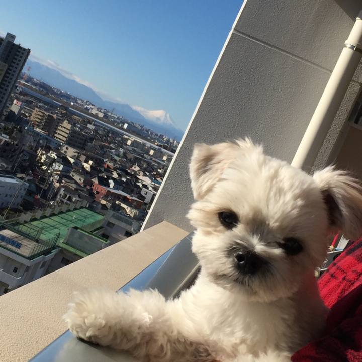 1a3d76e7 a98b 47c0 a237 42a443185ef5