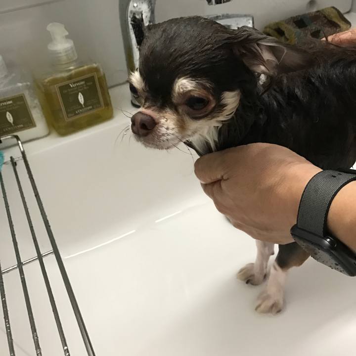 1a3e4f41 5f0e 4387 b43e 337cb6310cf1