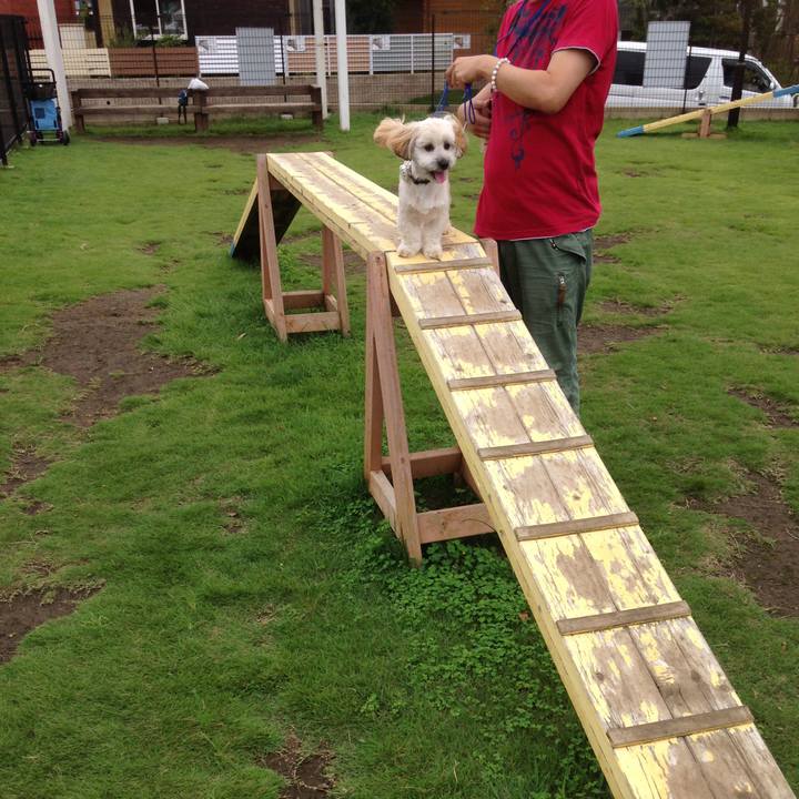 1a3e5a20 2557 4aa1 b6c0 96590a3cb8e1