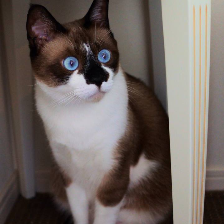 1a3f529b 5a90 4c2a 988f 28555021da88