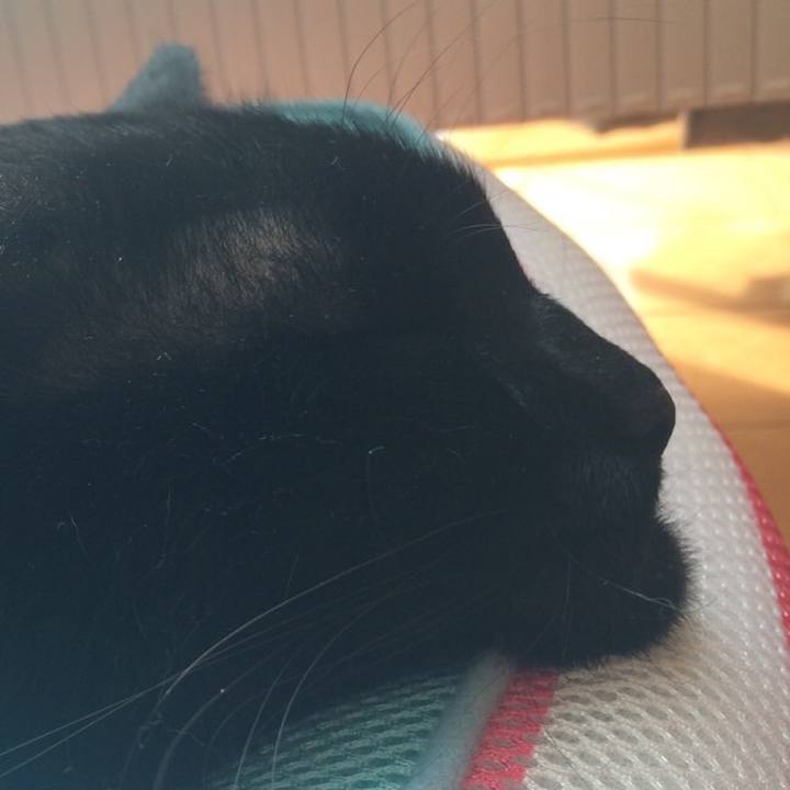 1a3f691a b42b 4501 a430 b1aacd76f34d