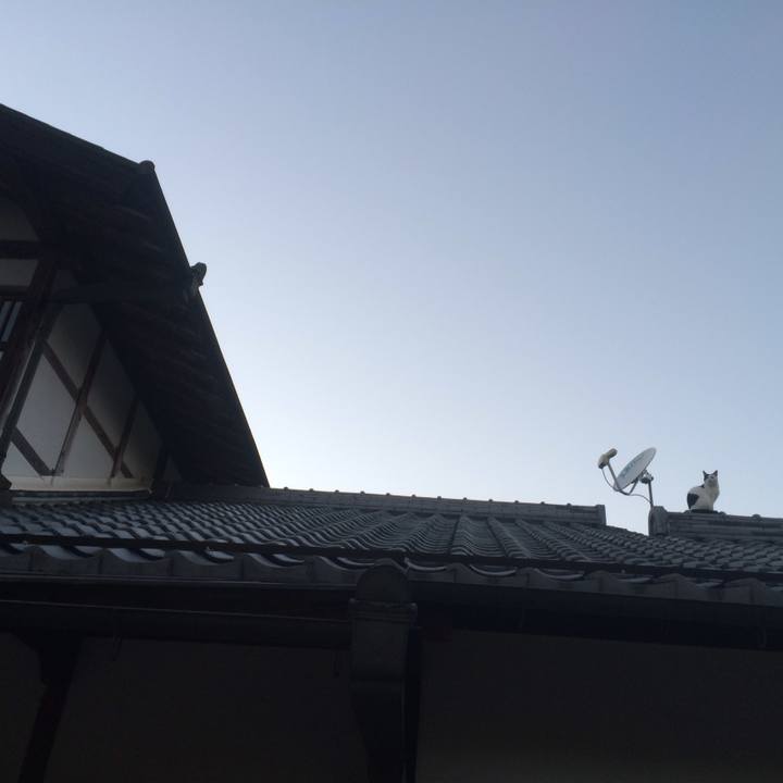 1a3fc0e9 6bad 4076 9469 3bbc012cba15