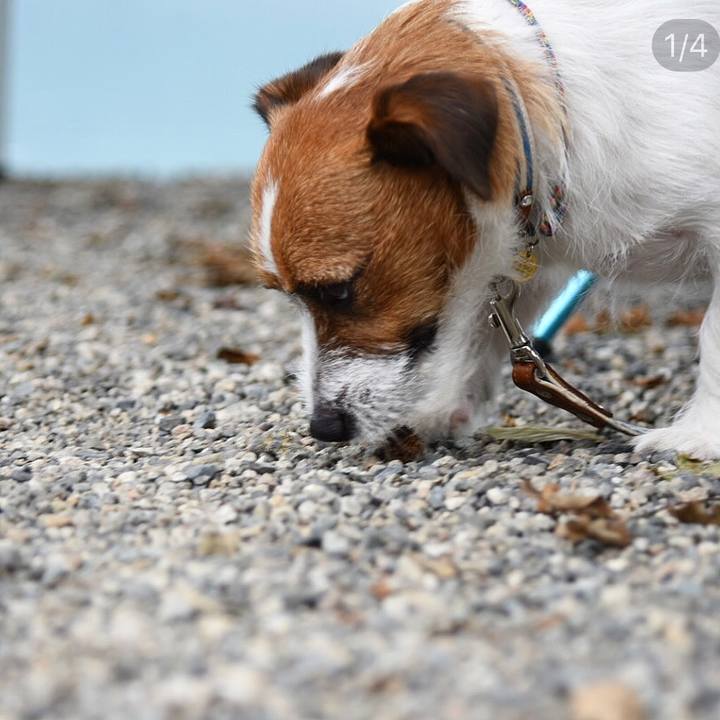 1a3fe4e4 1aad 4a25 b589 762b6bb2a063