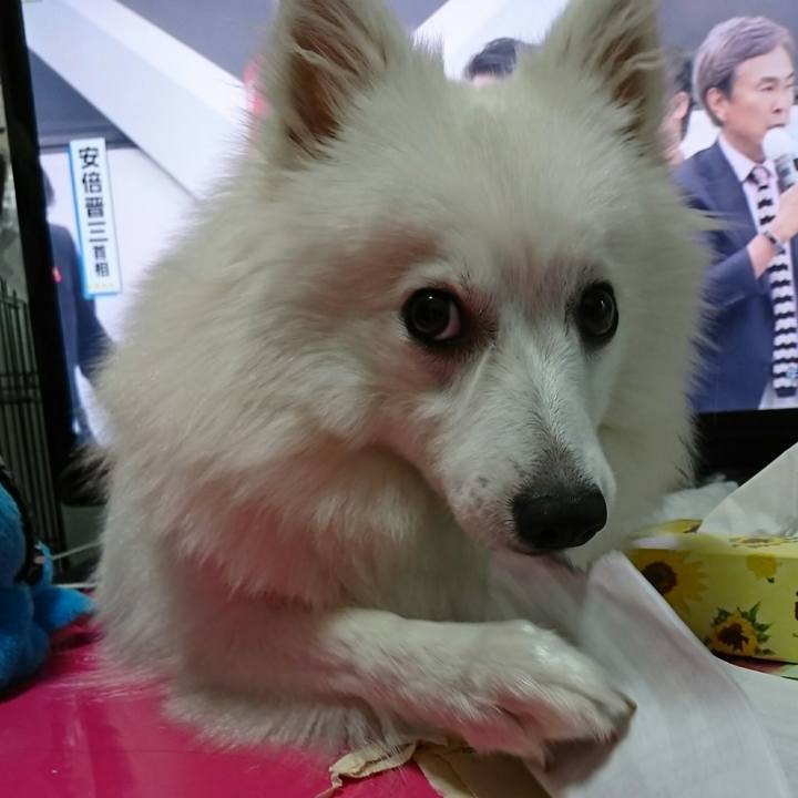 1a4012f2 728d 48e9 94eb e919fe7f5e97