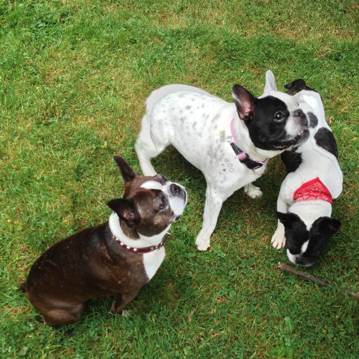 1a406e33 106d 4384 8d98 dd26953ea767