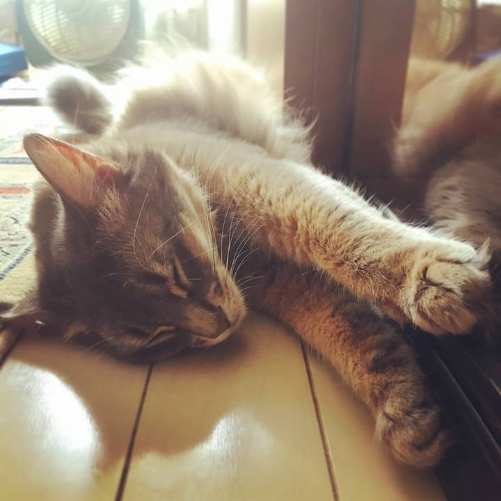 1a4082c4 7fe4 4da9 a96e ee2456128fdf