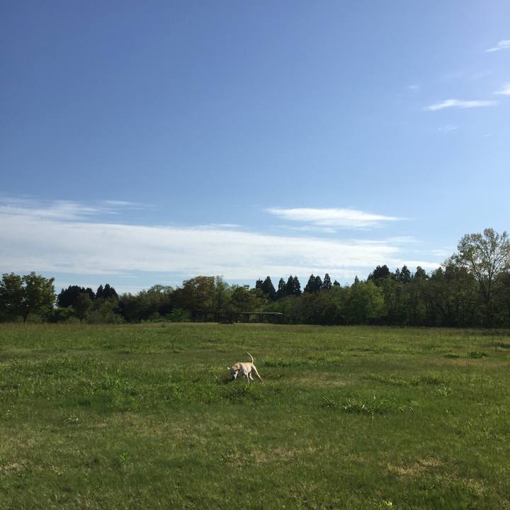 1a41a218 e949 4d4e adb1 47d32efcfba8