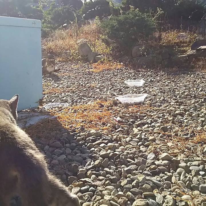 1a421378 066f 4aba 9436 d46f6a576497