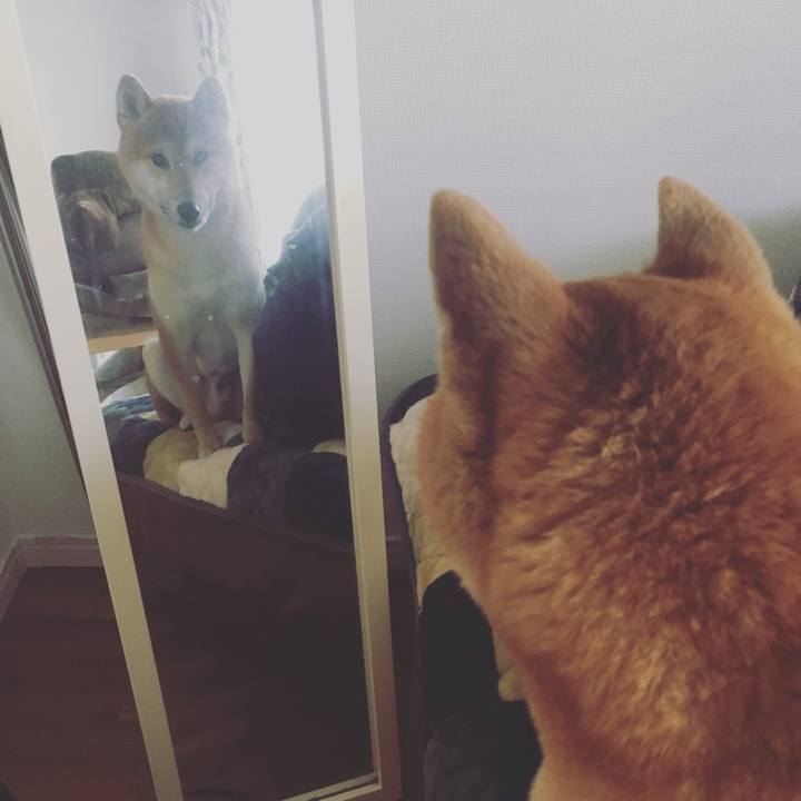 1a42a680 5420 414b 95e7 085800da0d18