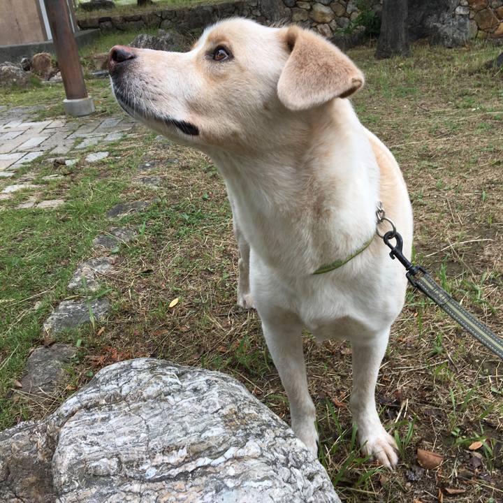 1a42aea5 8490 47ab 9d77 e9c18914d275