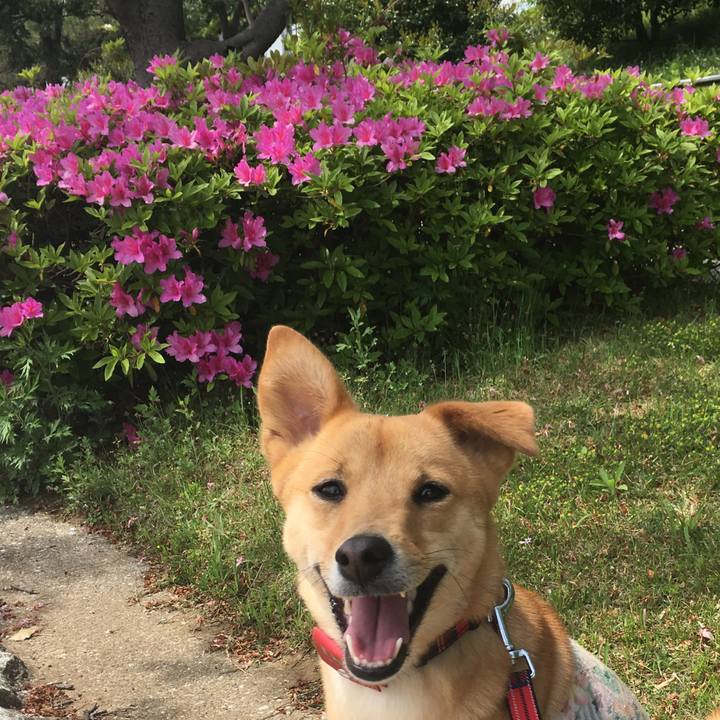 1a433ef8 298d 49ba a041 c2074db14733