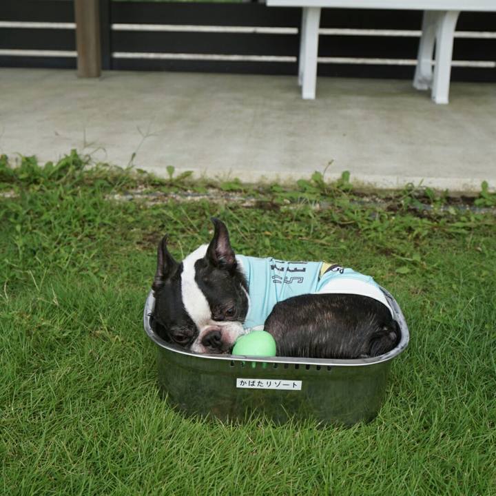 1a43a04a dc24 42f5 b223 575d34e157bf