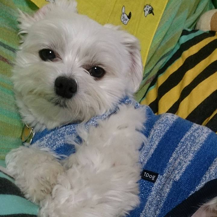 1a43cdda c101 4b1d a152 1b6a85a88eb8