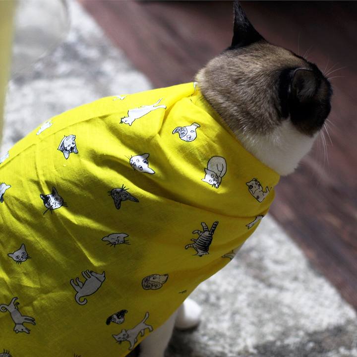 1a43f9df cb6f 4ab8 a421 9b7df58c8837