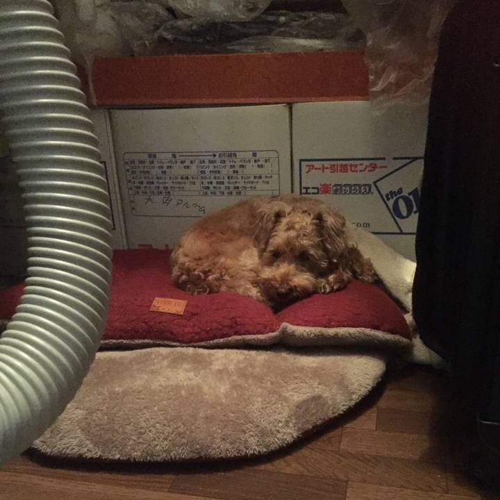 1a450197 7058 434e 8c03 1a75114b3156