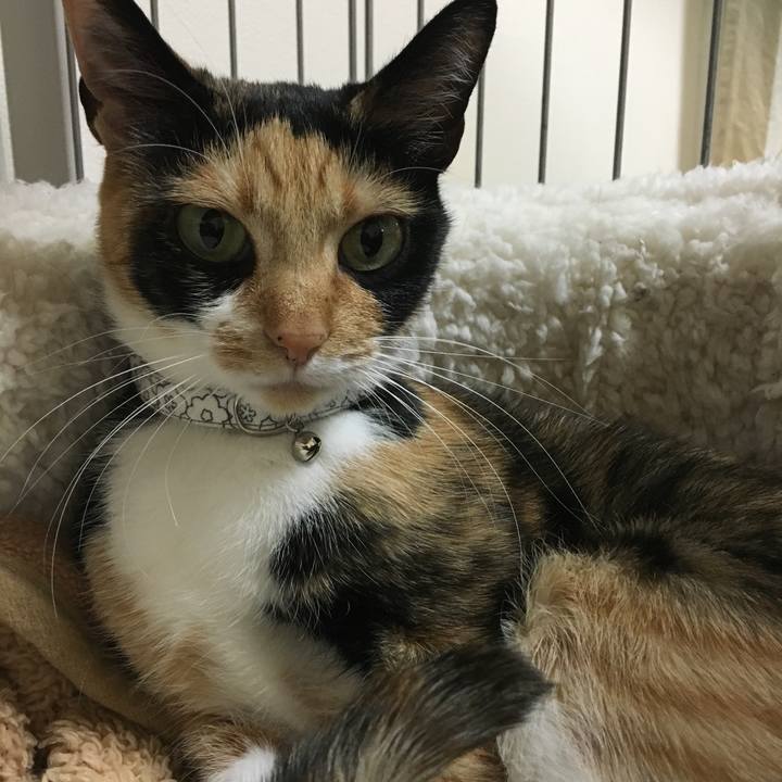 1a450e73 6fb4 46c9 aa98 a61a647f41a7