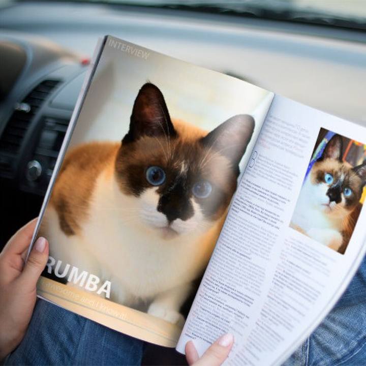 1a45a8ba 6546 48ec b9d7 e461c22b731e