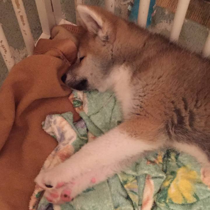 1a463687 d5ab 41ae 8005 51e780b97d33