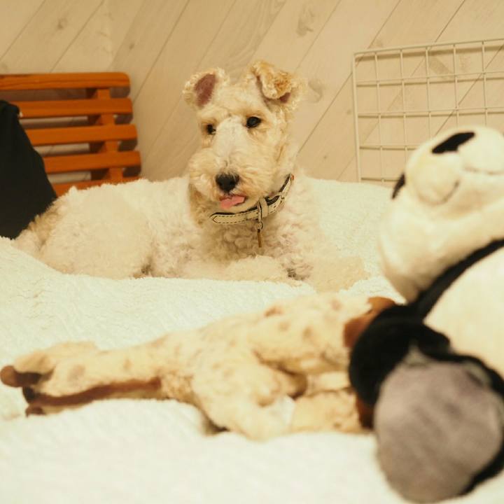 1a46a9dd b78d 44fc 8b7e 2c7115976781