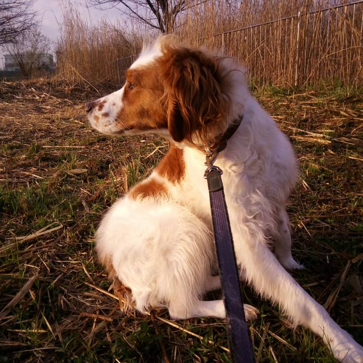 1a47eb8c 27fd 4c0f bf55 bbc139eaec53