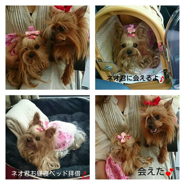 1a48b7de 4d31 4d03 a97a e4e4b63ff169