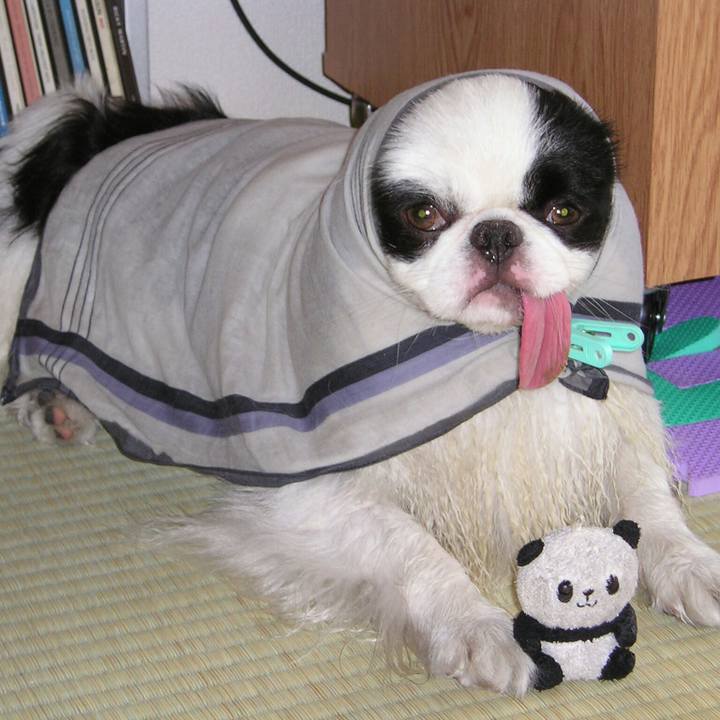 1a48f367 ba3a 4d86 b7ea eee8451287b9