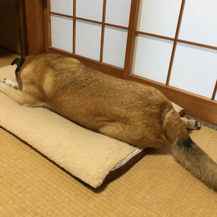 1a49c661 4401 425f 9df2 22d89c6a5ee9