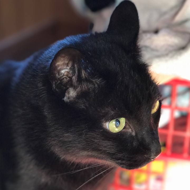 1a49d499 e25c 4519 82d9 4bb65ef48e96