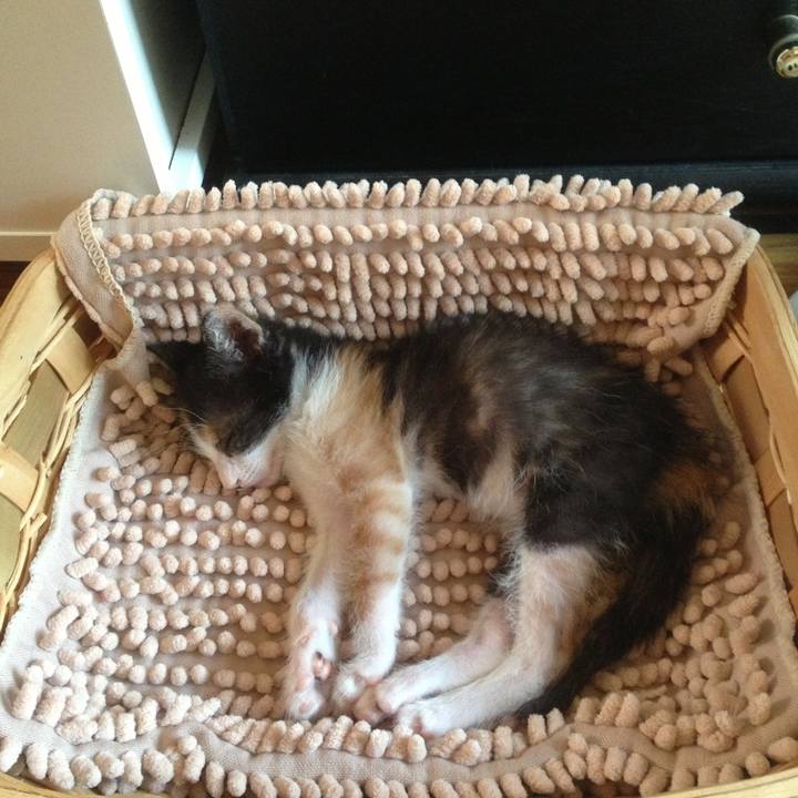 1a49ed12 2ab8 41fa 978e 707d9892cc60