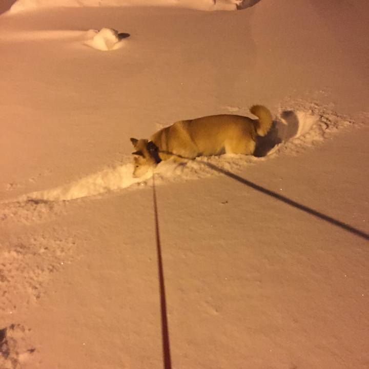 1a4a1187 f489 4fe3 b9f6 70ce8dc44f0b