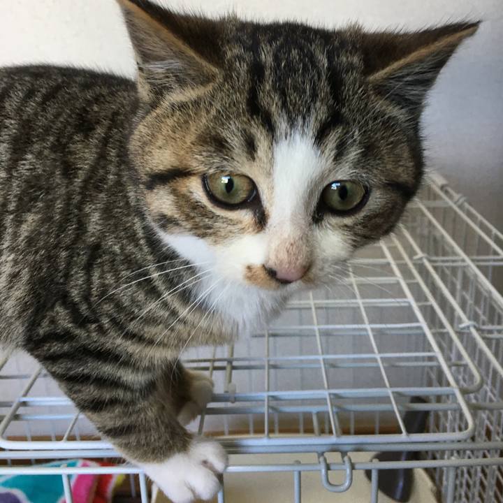 1a4a29e3 f987 471d 999d 2649365c2f39