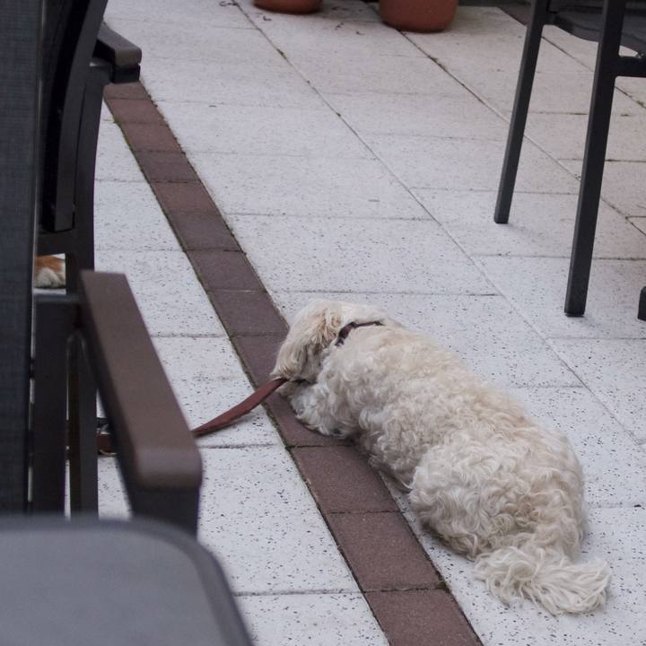 1a4abd15 bd6b 4636 8f29 9e4ba130ec5b