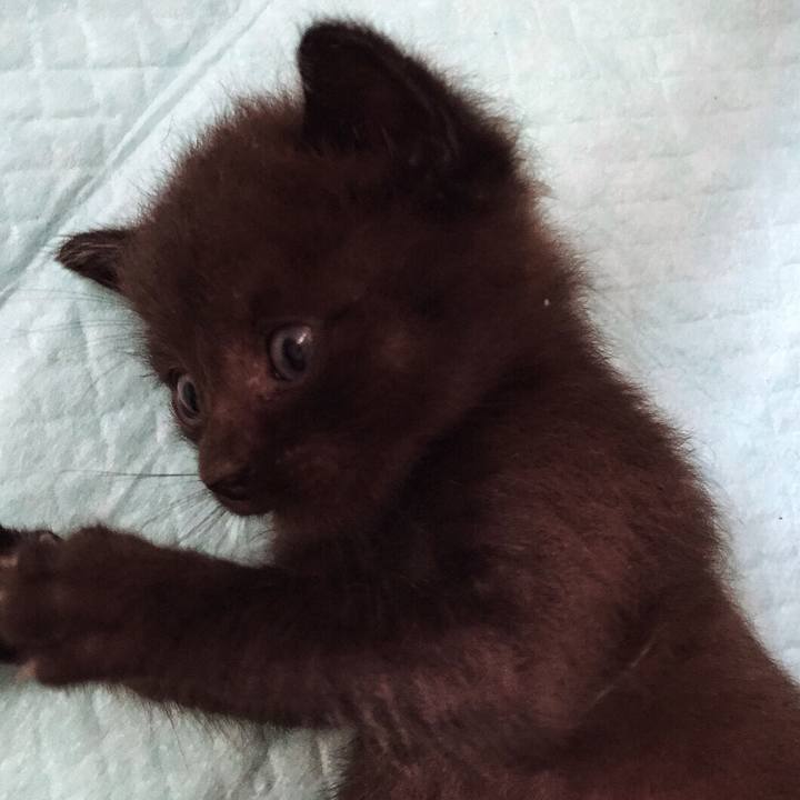 1a4afaec cb5b 4e1a 9696 c08224976d2c