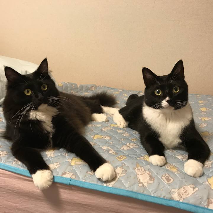 1a4b3f7d 5bbd 4d9e 9822 d03514d186bb