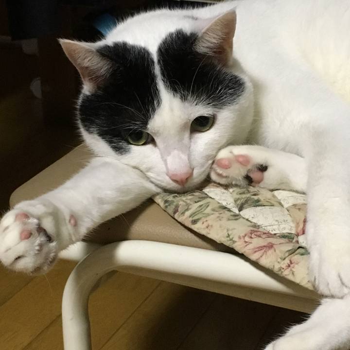 1a4bbbb9 8458 4502 bbda 96a9209f6daa