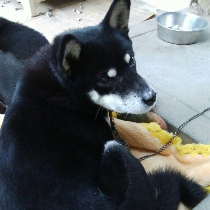 1a4bcb4c 55f6 4360 8f4a a1278fd9ee9c