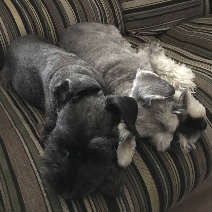 1a4c73d7 20bc 4373 b932 6d389d5b53d7