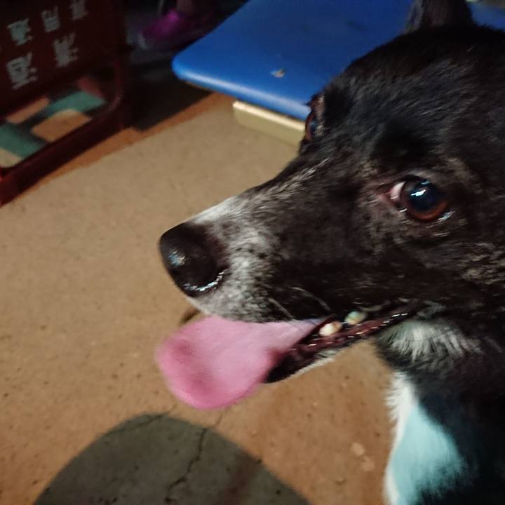 1a4d2e77 e389 4433 972e 47f177024fdd