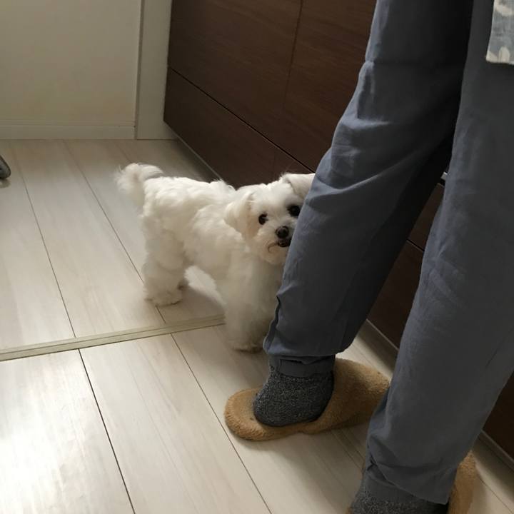 1a4dcaa7 5f7c 4ca4 8dce 25c6da5f67e5