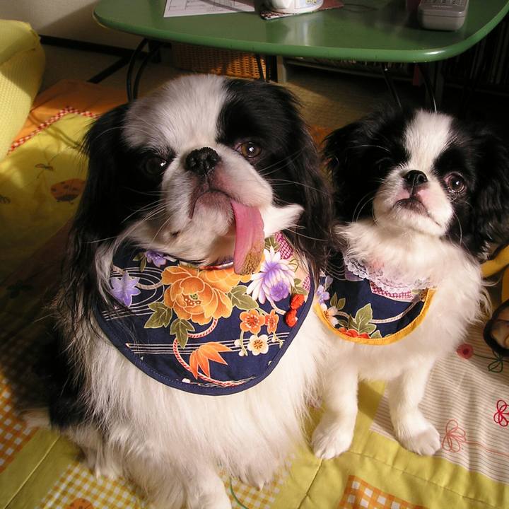 1a4df4b0 1610 4edb bdee 124e8e2bcec0