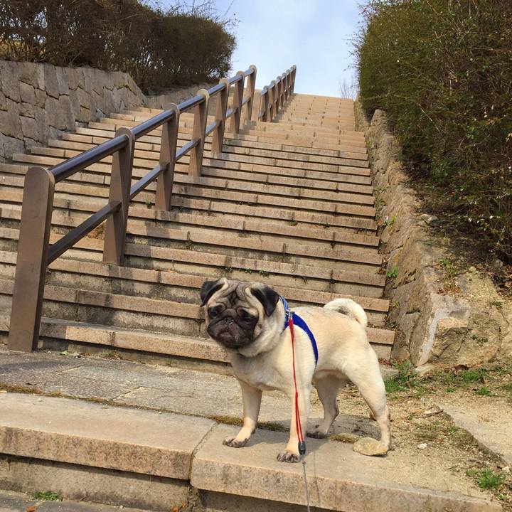 1a4dfdcd 8036 43ae 836e 6094d7d98259