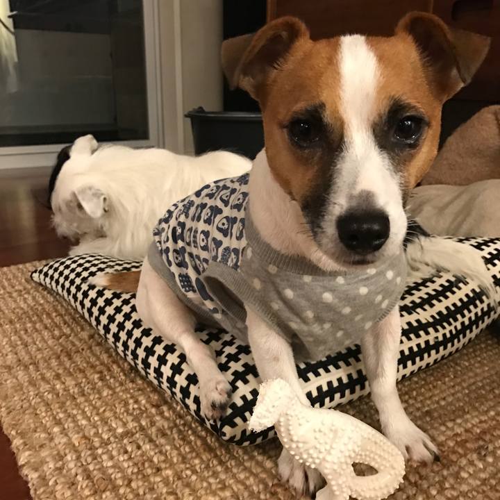 1a4e1775 5139 454e 906c 64b3c1999032