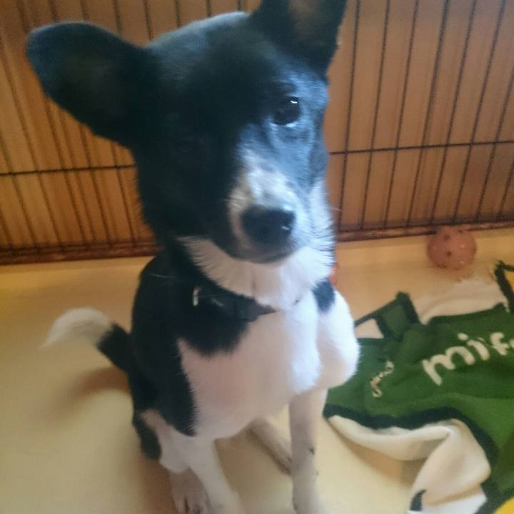 1a4e2940 9444 41af 8210 288a9a3bf39e