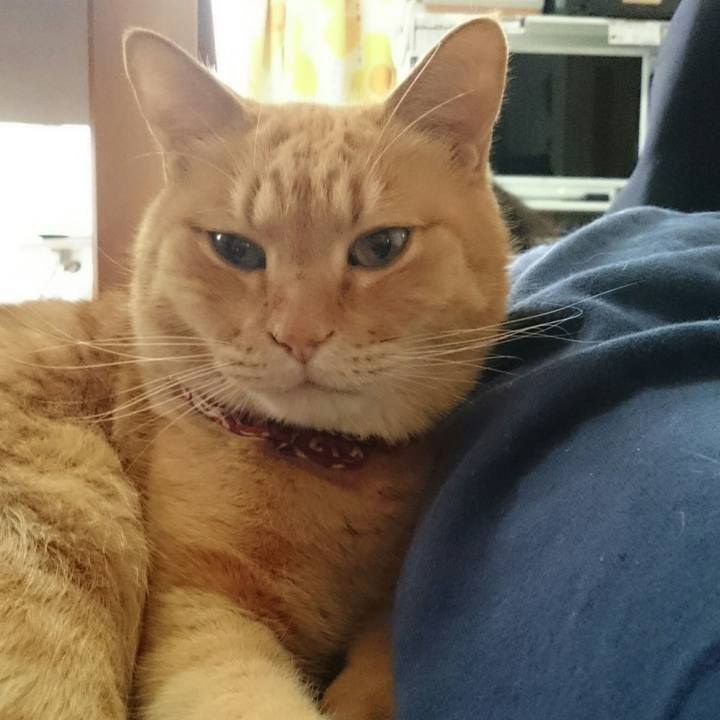 1a4ee2c8 435e 4a39 aadd 216765a8e55a