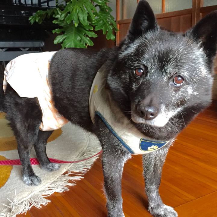 1a4ee559 4f0e 4464 8a1b e34920674e65