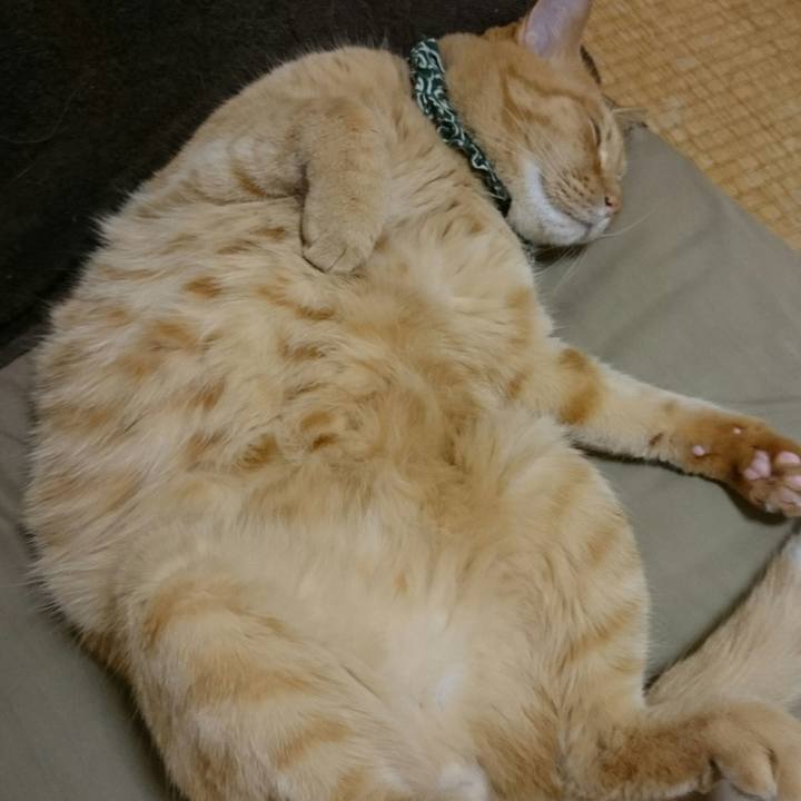 1a4f3a34 a7d5 42fc 9029 f575dcd83a7c