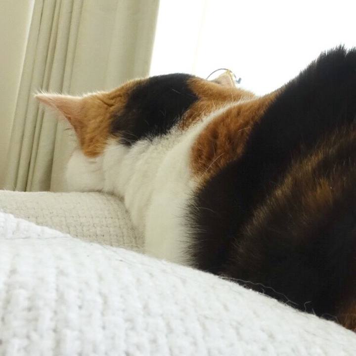 1a5017f0 3ce1 4dfe ad89 3534358373b8