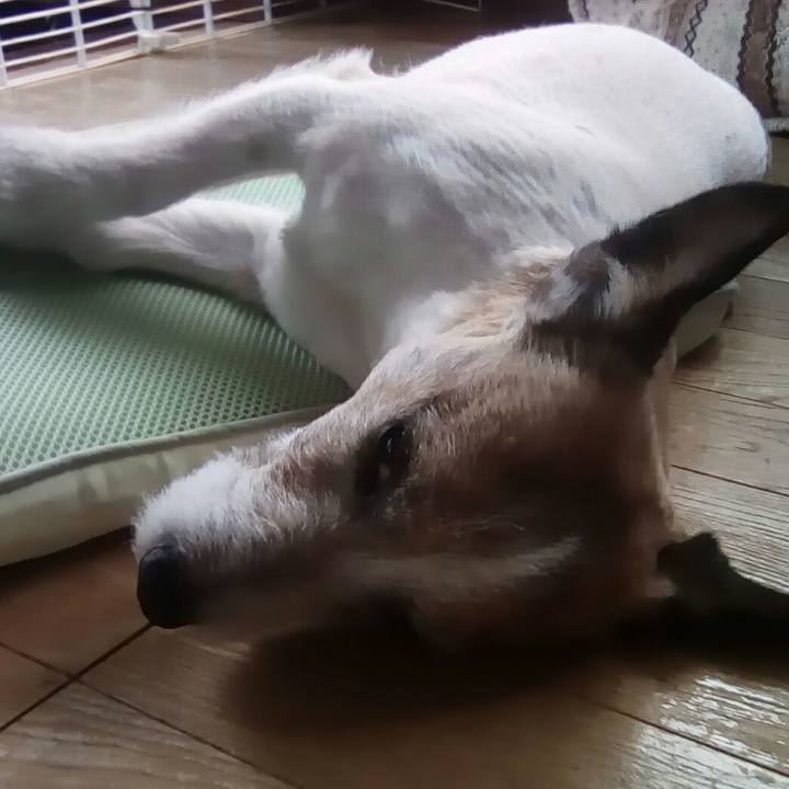 1a503bce 1994 41a0 9d7c 92b0710d83a1